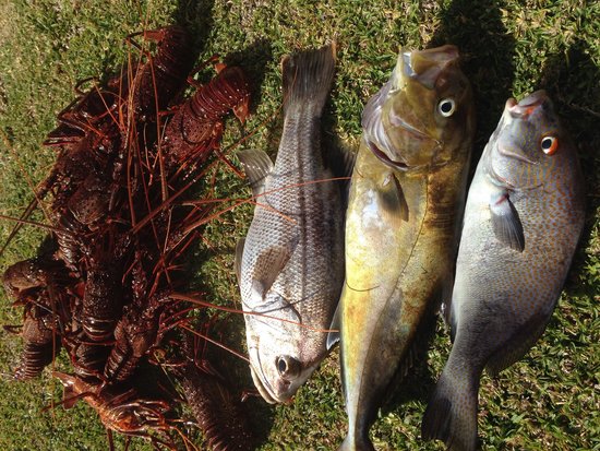 Ledge Point WA Stayed