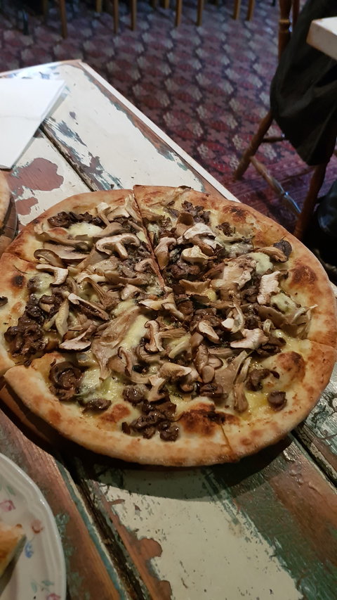 Lost In A Forest - Stayed 4