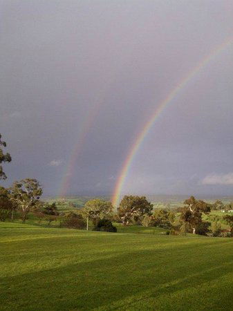 One Tree Hill SA Stayed