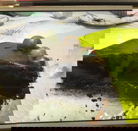 Baker Bear's Bakery - Stayed