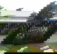 Bracegirdles - Stayed