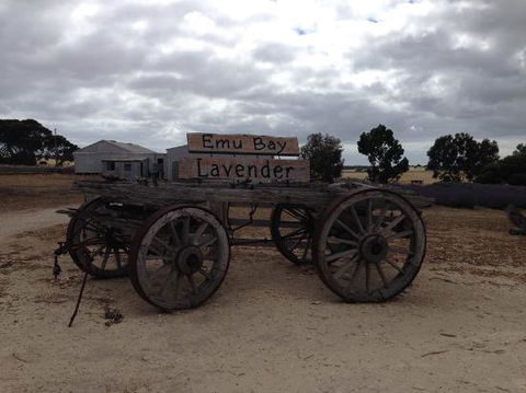 Emu Bay Lavender - Stays Accommodation 0