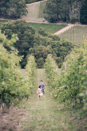 Greenhill Wines - Stays Accommodation 0