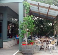 The Little Leaf  Bean - Stayed