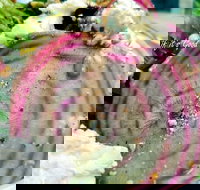 Thunderbird Kitchen - Stayed