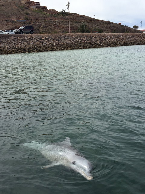 Whyalla Foreshore - Stayed 1