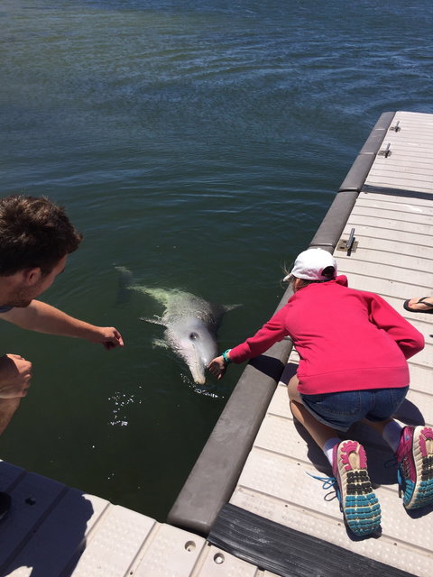 Whyalla Foreshore - Stayed 3