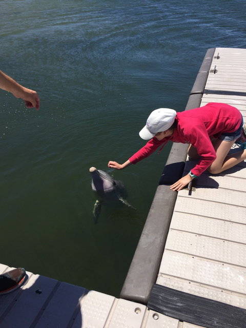Whyalla Foreshore - Stayed 4