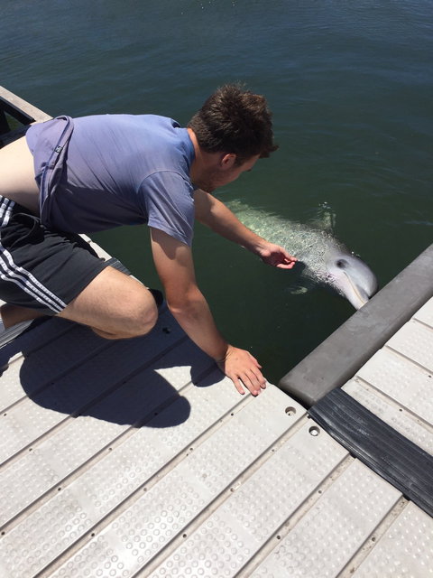 Whyalla Foreshore - Stayed 6