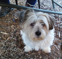 Cinnamon Grove - Stayed