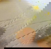 Parade Fish Shop - Stayed