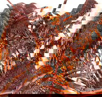 Sails Restaurant - Stayed