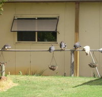 Sandy Grove - Stayed