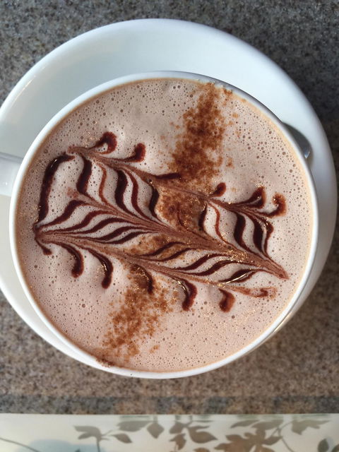 Cocobean Chocolate - Stays Accommodation 8