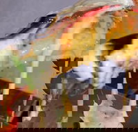 A Taste Of Africa Maleny - Stayed