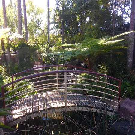 Lorikeet's Coffee Shop - Stayed 0