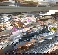 Maleny Seafoods - Stayed