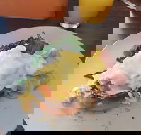 Stock Bar  Grill - Stayed