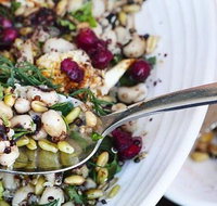 Toastface Grillah - Stayed