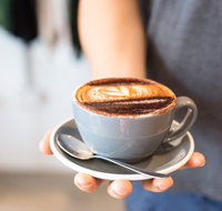 Compound Surf  Espresso