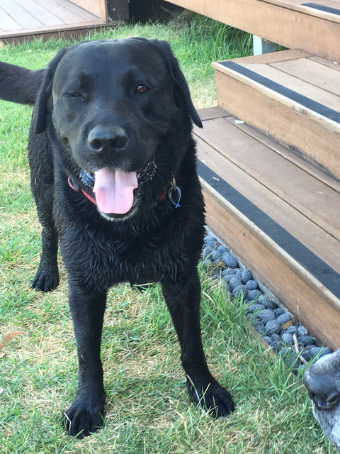 The Overflow Estate 1895 Cellar Door - Stayed 2