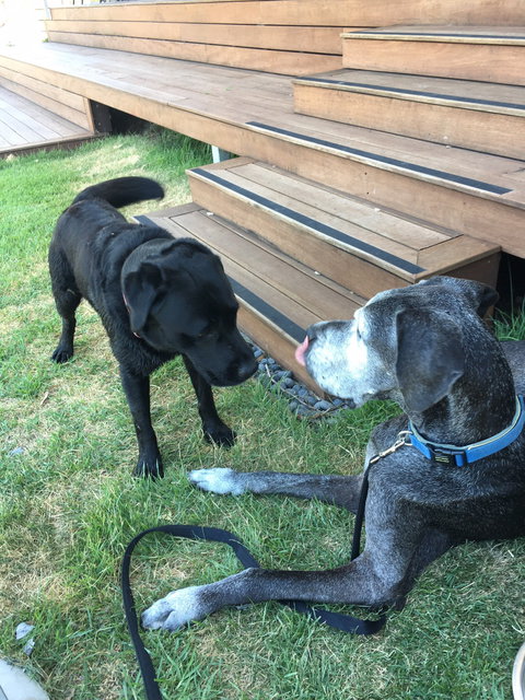 The Overflow Estate 1895 Cellar Door - Stayed 3
