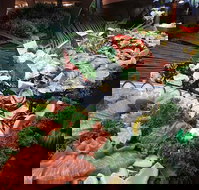 Hotel Settlers - Stayed