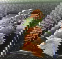 Three Black Sheep Cafe - Stayed