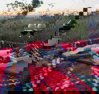 Bunnyconnellen Olive Grove  Vineyard - Stays Accommodation