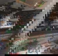 Gypsy N Folk - Stayed