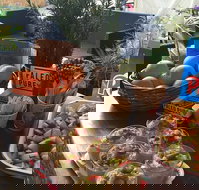 Island fruit Barn - Stayed