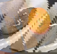 New Leaf Cafe Murwillumbah - Stayed