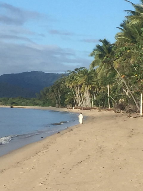 Newell Beach Takeaway And Cafe - Stayed 4