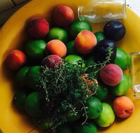 The Coffee Shoppe - Stayed