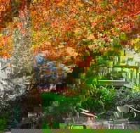 The Woods Ravensbourne