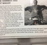 North Ivanhoe Fish  Chips - Stayed