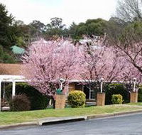 White Lanterns Motel - Stays Accommodation