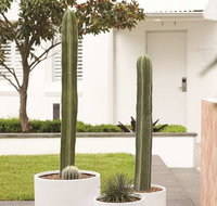 Adina Apartment Hotel Chippendale - Stayed