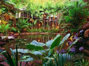 Daintree Eco Lodge & Spa - Stayed 0