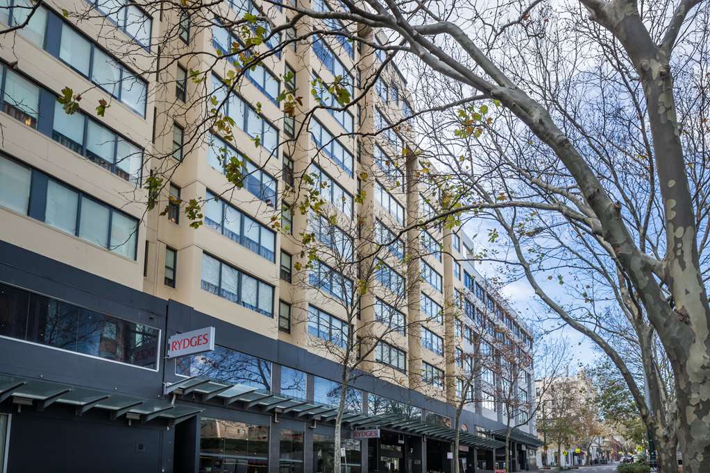 Surry Hills NSW Stayed