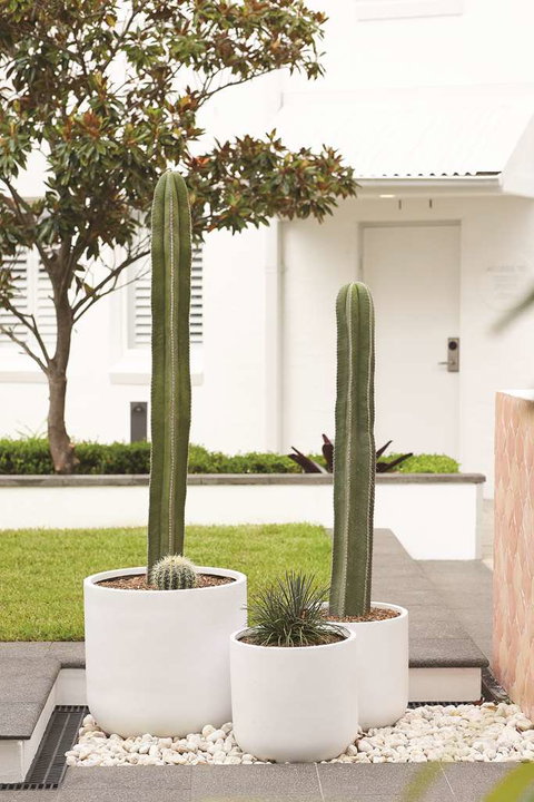 Adina Apartment Hotel Chippendale - Stayed 0