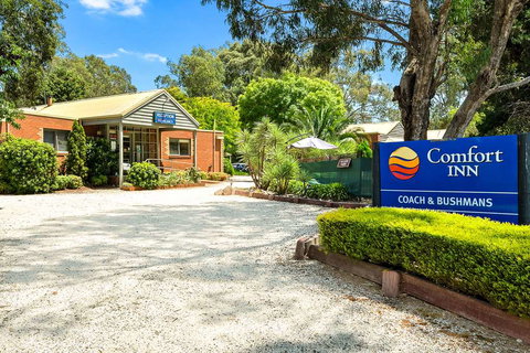 Comfort Inn Coach & Bushmans - Stays Accommodation 0
