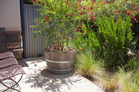 One Of A Kind Apartments - Stayed 15