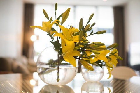 KUI - Manhattan Apartments - Stays Accommodation 0