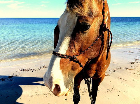 Lure Bed And Breakfast - Stayed 15