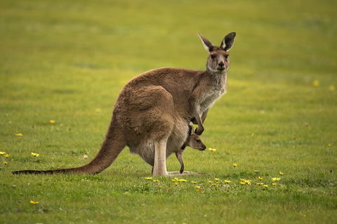 Lure Bed And Breakfast - Stayed 20