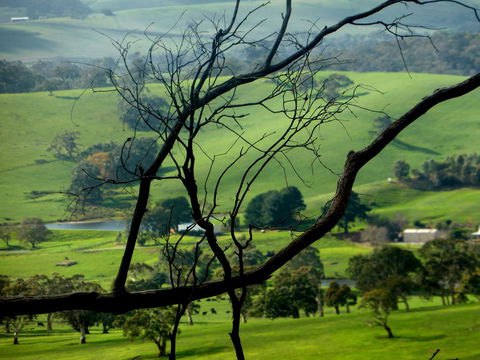 Lure Bed And Breakfast - Stayed 21