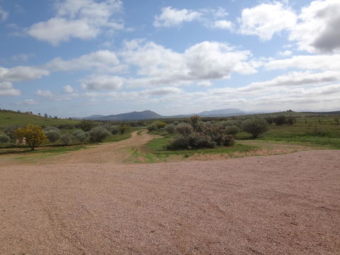 Windana Cottages - Stayed 37