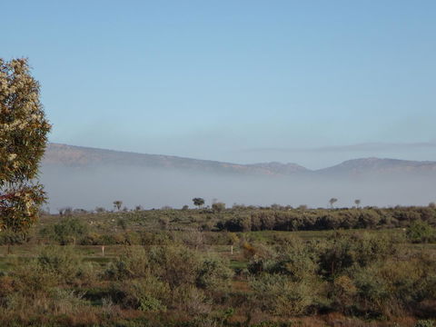 Windana Cottages - Stayed 44