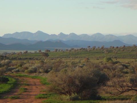 Windana Cottages - Stayed 41